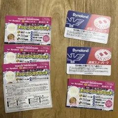 【即日発送】高鷲ダイナ共通券　６枚　バラ売り可 2026年最新】高鷲ダイナ共通の人気アイテム - メルカリ