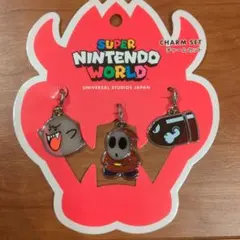 USJ限定　スーパーニンテンドーワールド チャームセット　マリオ