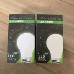 Item thumbnail for item 50e6bfe5-964d-44d8-bf15-05e4bdc87d71