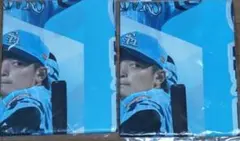 福岡ソフトバンクホークス 鷹の祭典 のぼり2枚