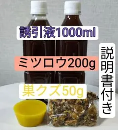 Item thumbnail for item 20344b97-fe8c-42fe-b20f-a8966e6e865a