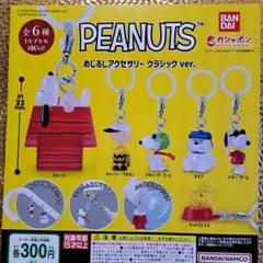 PEANUTS　めじるしアクセサリー　全6種中5種　ガチャフィギュア　スヌーピー