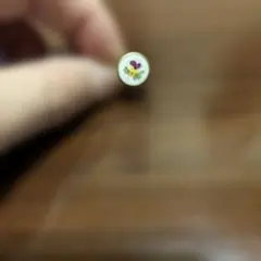 アンティークエナメルボタンアクセサリー　イヤーカフ①