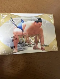 大の里 大相撲 インサートカード BBM 2025 INFINITY