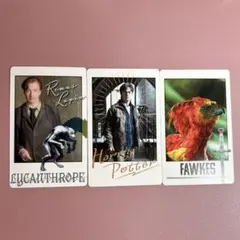 ハリーポッター スナップマイド