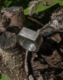 Item thumbnail for item 16411974-48fa-49e7-886b-e4f2ee07c7d9