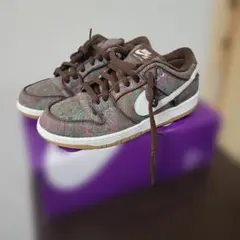 Nike Dunk Low Pro PRM 8.5