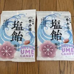 榮太樓總本鋪 塩飴 梅味 70g 2袋セットのサムネイル