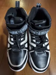 Item thumbnail for item d3942827-342f-414f-9544-2bd51277c00f