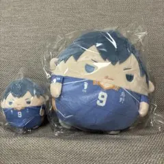 ハイキュー　くじメイト　ぬいくじ　影山　C賞d賞