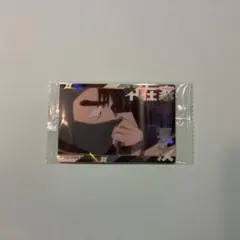 忍たま乱太郎ツインウエハースの段 其ノ二【中在家長次】