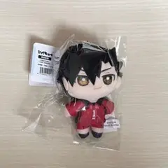 ハイキュー ぬいパル 黒尾鉄朗