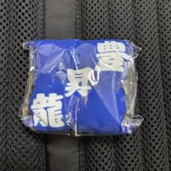 大相撲ガチャ　座布団キーホルダー　豊昇龍