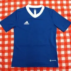 adidas 青 Vネック Tシャツ J130