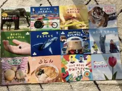 サンチャイルド　　ビッグサイエンス12冊セット