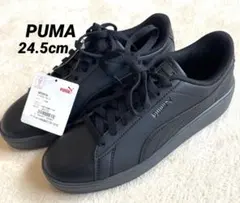 Item thumbnail for item c3d64b53-c334-41d3-813c-9cad5bc07870