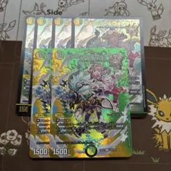 Disコットン&Disケラサス 6枚セット