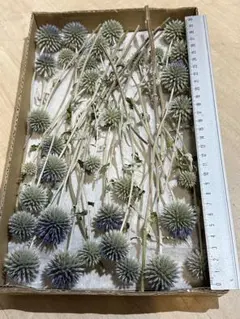 モコ様 リクエスト 3点 まとめ商品