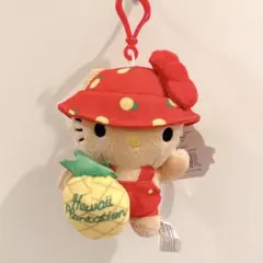 2026年最新】ハワイ限定 ハローキティの人気アイテム - メルカリ