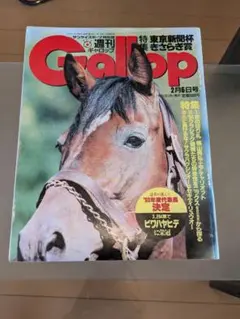競馬 Gallop臨時増刊 週刊100名馬 1 オグリキャップ - メルカリ