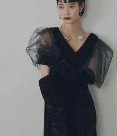 VIOLETTA チュールスリーブベロアドレス