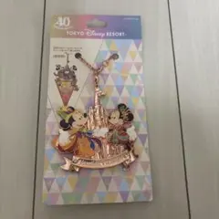 公式 バッグチャーム 東京ディズニーリゾート ディズニーランド Disney