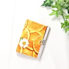 【ora】25枚収納可能★ 直線口金の名刺入れ・カードケース オレンジ