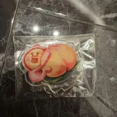こびとづかん　カクレモモジリ　アクリルスタンド