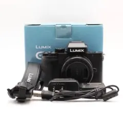 シャッター回数67回 LUMIX G100D ほぼ新品 - メルカリ