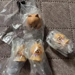 skzoo ガチャ ハンクォッカ