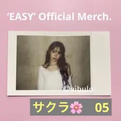 LESSERAFIM  POPUP インスタントフォト カード　サクラ　05