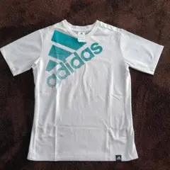 キッズ adidas ロゴ Tシャツ 160cm ホワイト/ターコイズ