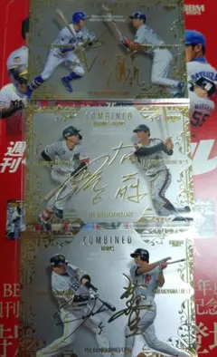 Item thumbnail for item 8a6ab28a-0893-4c76-93c1-71d46f35620d