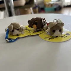 Item thumbnail for item 81fab63c-fc39-4c5a-9723-2838bb1e453d