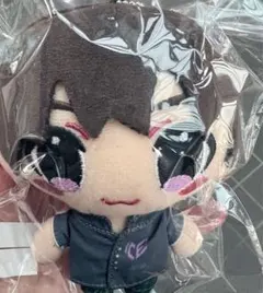 ICEx 竹野世梛 マスコット ぬいぐるみ ICEx After School - メルカリ