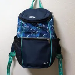 Item thumbnail for item f3bc4d9f-63cc-47ec-8c26-73e34d5f0556