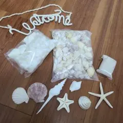 ウェルカムスペース 貝 結婚式 ウエディング