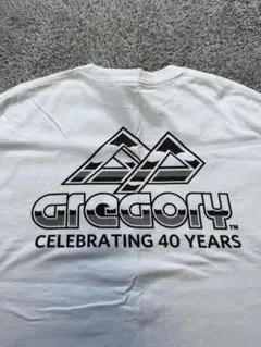 GREGORY 40周年記念 Tシャツ M 白 茶タグ ロゴ　 アウトドア 限定のサムネイル