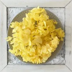 ゆずちゃ◡̈♥︎bonheur shop様 リクエスト 2点 まとめ商品