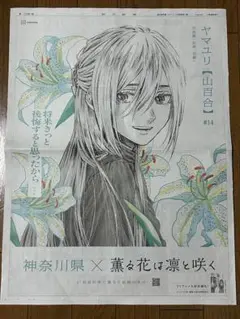 新聞全面広告　薫る花は凛と咲く　山百合　#14 神奈川