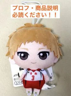 2026年最新】ハイキュー ぬいぐるみ 夜久の人気アイテム - メルカリ