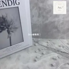 Item thumbnail for item 738d6887-0a24-49c1-ad70-28f764e74b0c