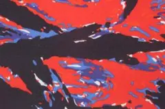 コットンツイルプリント　150×2ｍ20251113