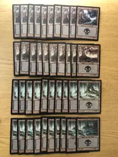 インベイジョンの沼/Swamp 日本語版絵柄別40枚セット INV MTG