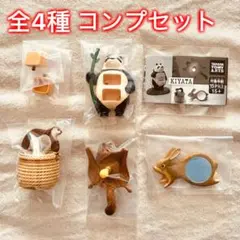 2026年最新】KIYAT バスケットの人気アイテム - メルカリ