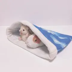 Item thumbnail for item dc2025f2-3aab-46cb-9fda-9c3948e6a1ce