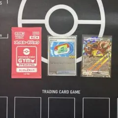 匿名配送　ポケモンセンター限定　ロケット団プレイマット　4枚セット 1561293.jpg