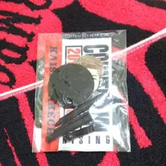 LDH カウントダウンライブ 会場限定 ガチャ 武知海青 のぼり