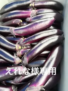えれな様専用 熊本県産 ワケあり 茄子 3kg 1500円