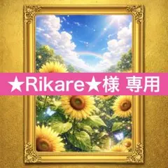 ★Rikare★様 専用